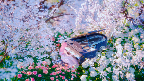 Small decor with a Grand Piano